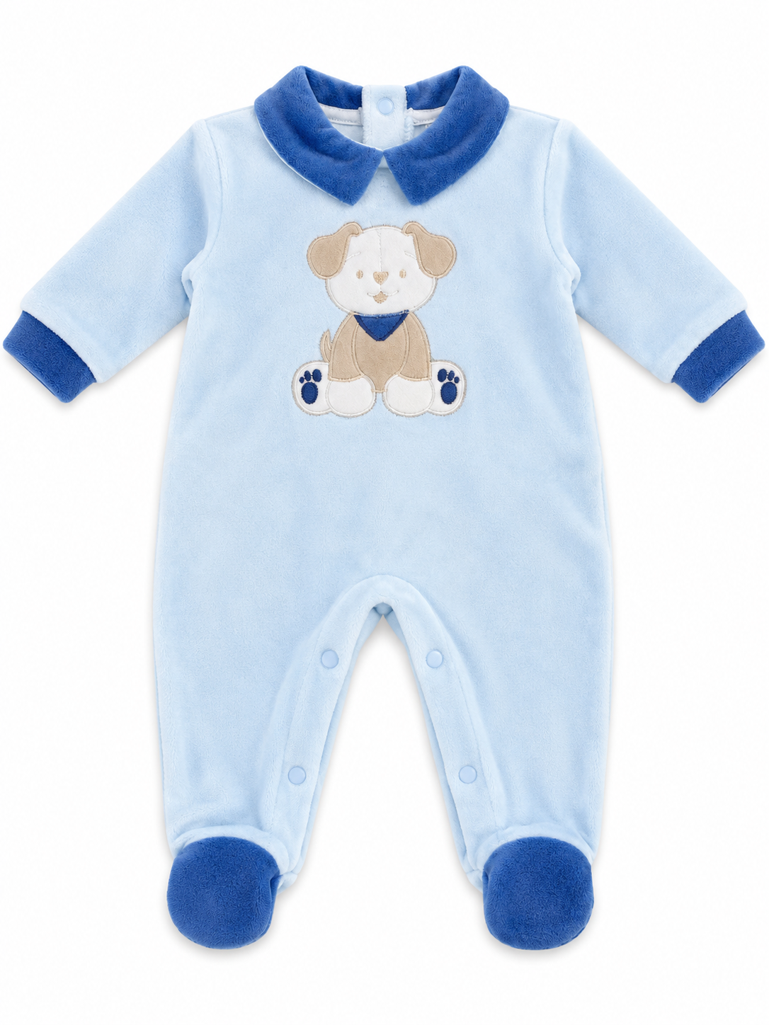 Completoclinico in ciniglia neonata Batuffolini