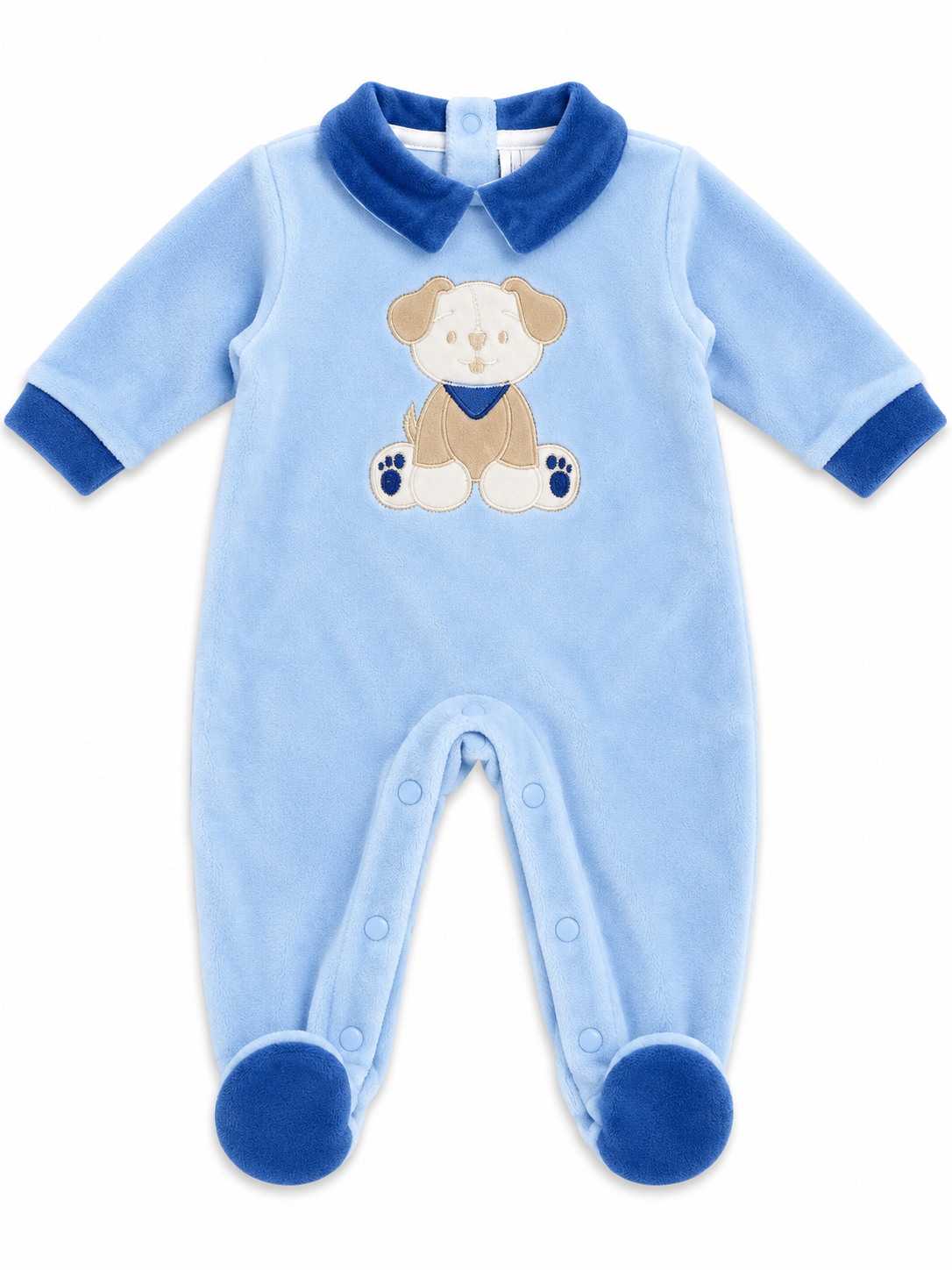 Completoclinico in ciniglia neonata Batuffolini