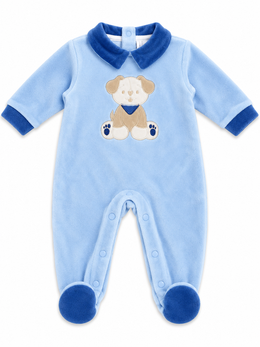Completoclinico in ciniglia neonata Batuffolini